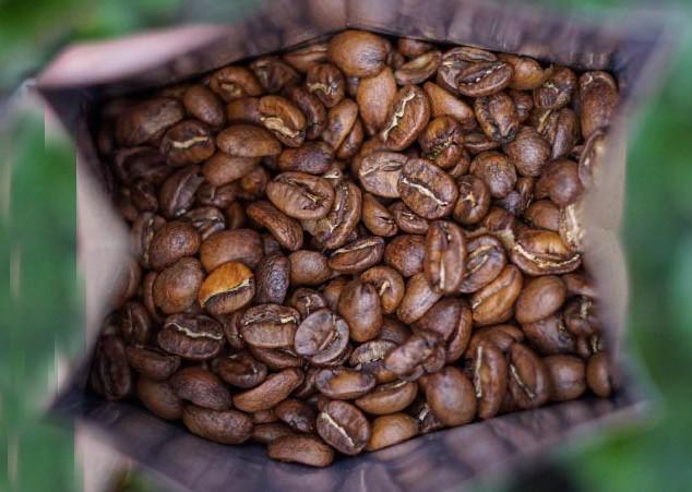 Guatemalan Premium Coffee -Whole - Grain options 12oz - Mayan Fair Trade