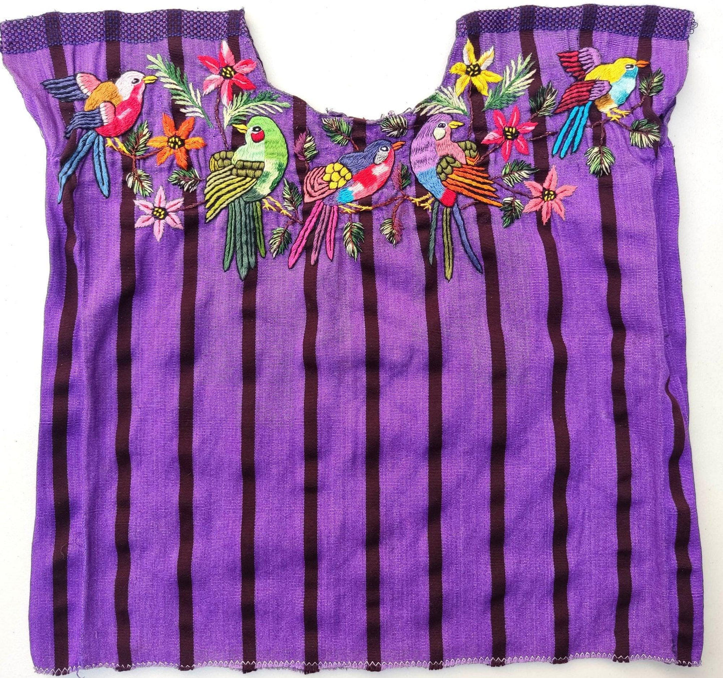 PETIT Vintage handmade embroidered Santiago Atitlan huipil cotton wall decor tapestry -Bird party-