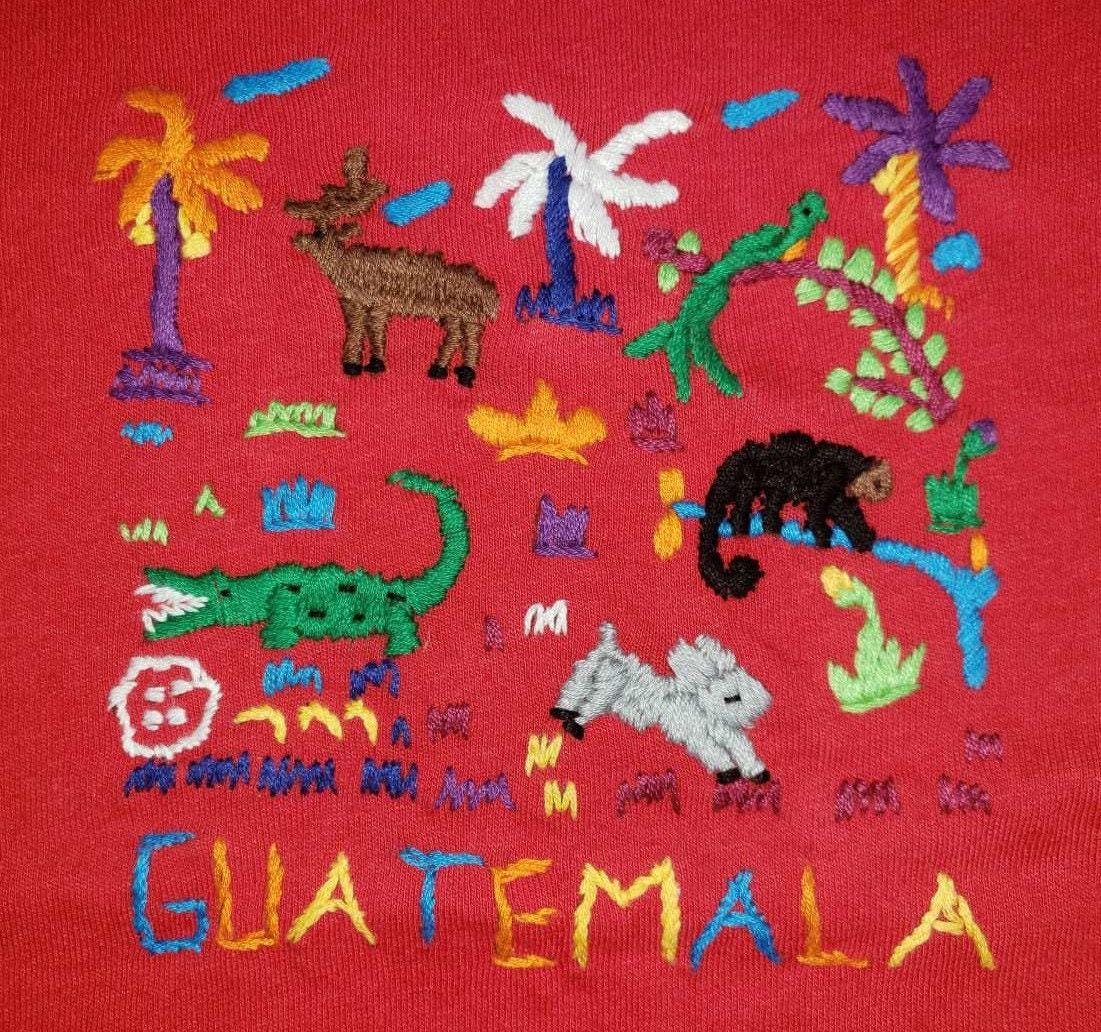 Handmade embroidered Guatemalan zoo bus motive unisex cotton T-shirt for kids