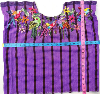 PETIT Vintage handmade embroidered Santiago Atitlan huipil cotton wall decor tapestry -Bird party-