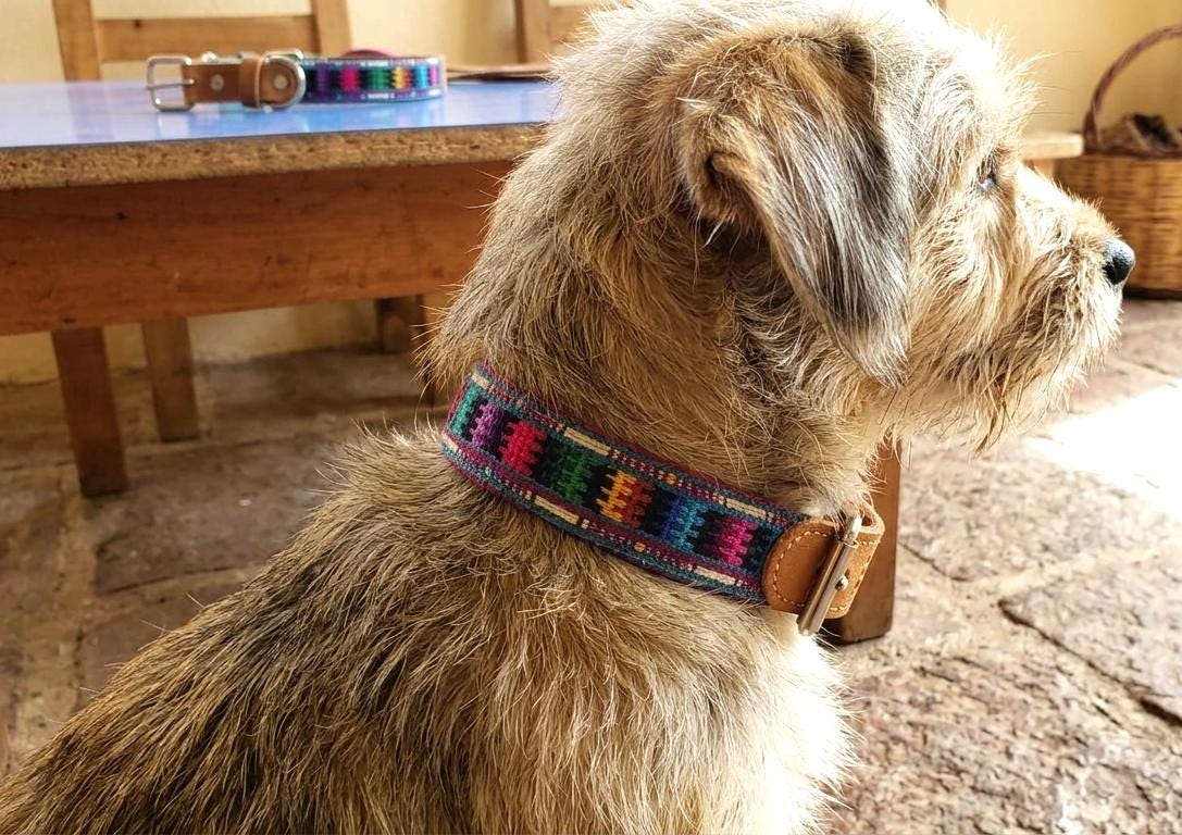 Authentic Handmade Leather and Textile DOG Collar, Colorful Woven PET Collar