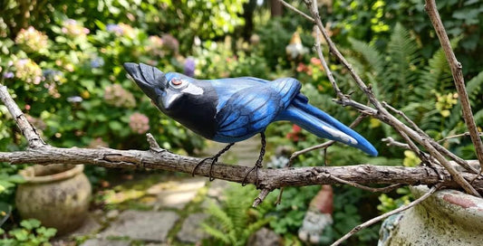 Black Throated Magpie Jay Ceramic Bird Figurine