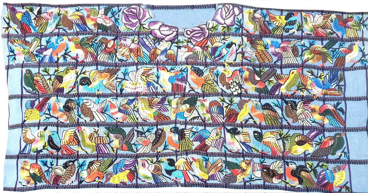 Hand Embroidered Guatemalan Wall Tapestry, Multicolored Bird Textile Art from Santiago Atitlan, Handwoven Light Blue Cloth, 17x34 In